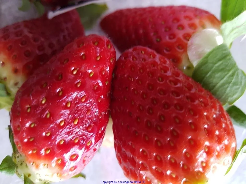 Erdbeertorte - Rezept - Bild Nr. 8107