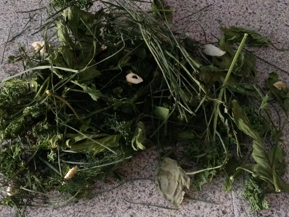 Salatkräuter - Mischung - Rezept - Bild Nr. 8141