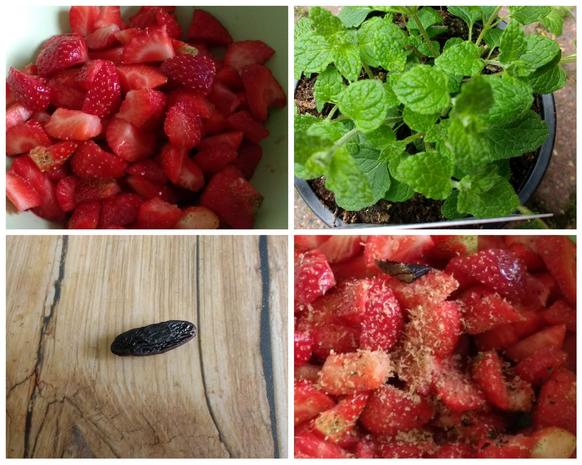 Erdbeer-Shrub mit Erdbeerminze