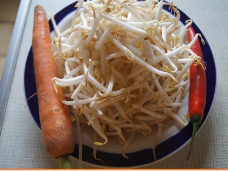 Warmer Sprossensalat mit gebräunten Leberkäse - Rezept - Bild Nr. 8143