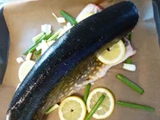 Hecht aus dem Ofen - Rezept - Bild Nr. 8142