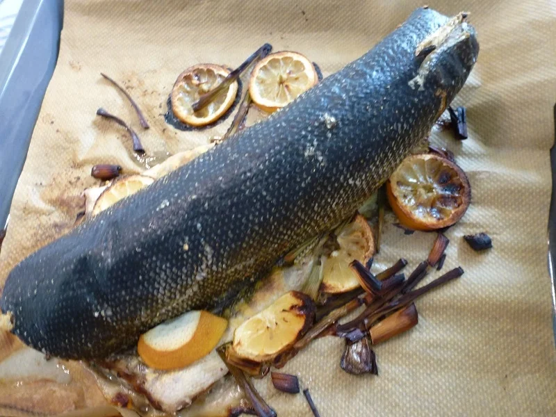 Hecht aus dem Ofen - Rezept - Bild Nr. 8143