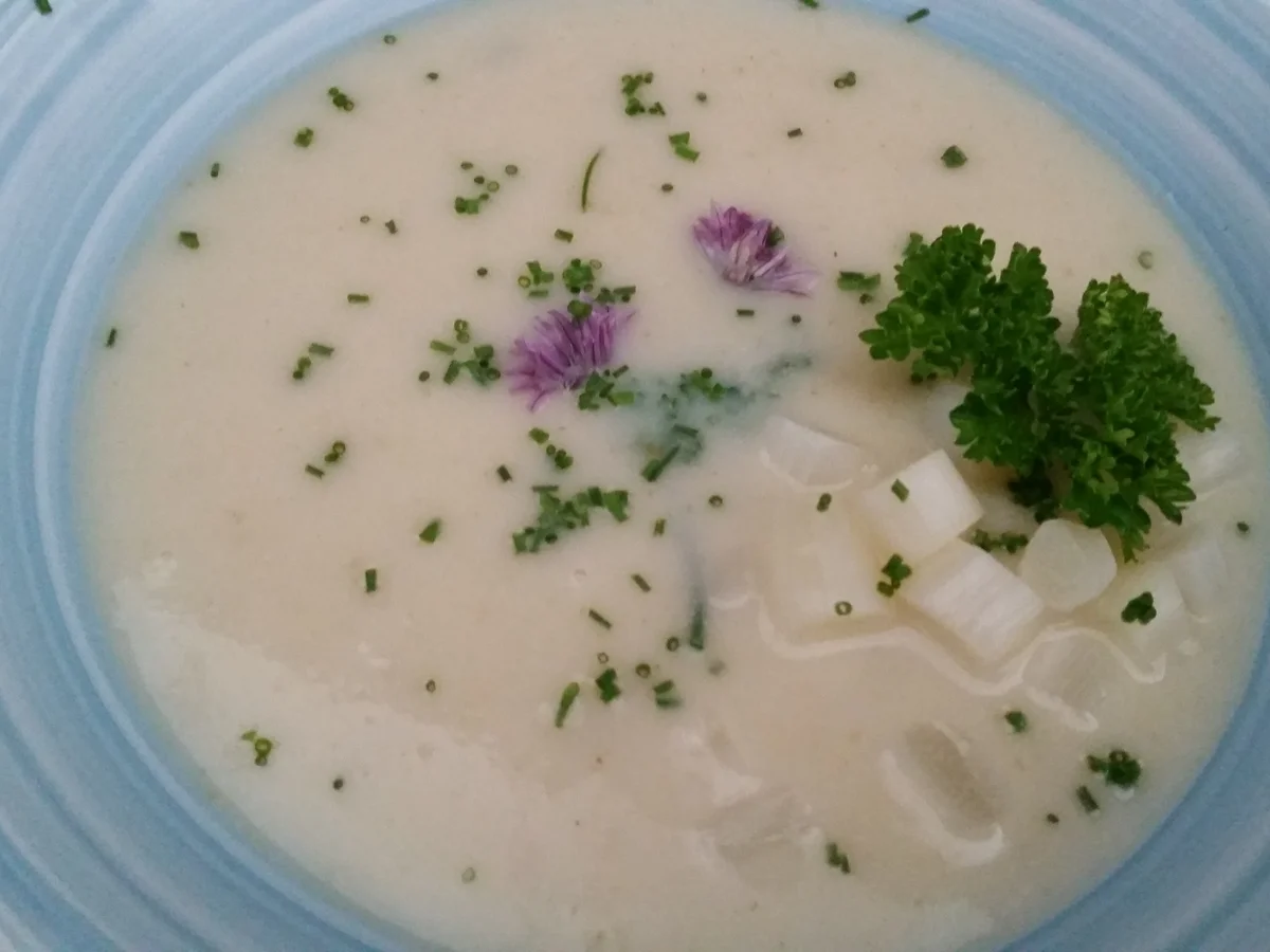 Spargelsuppe - Rezept - Bild Nr. 8155