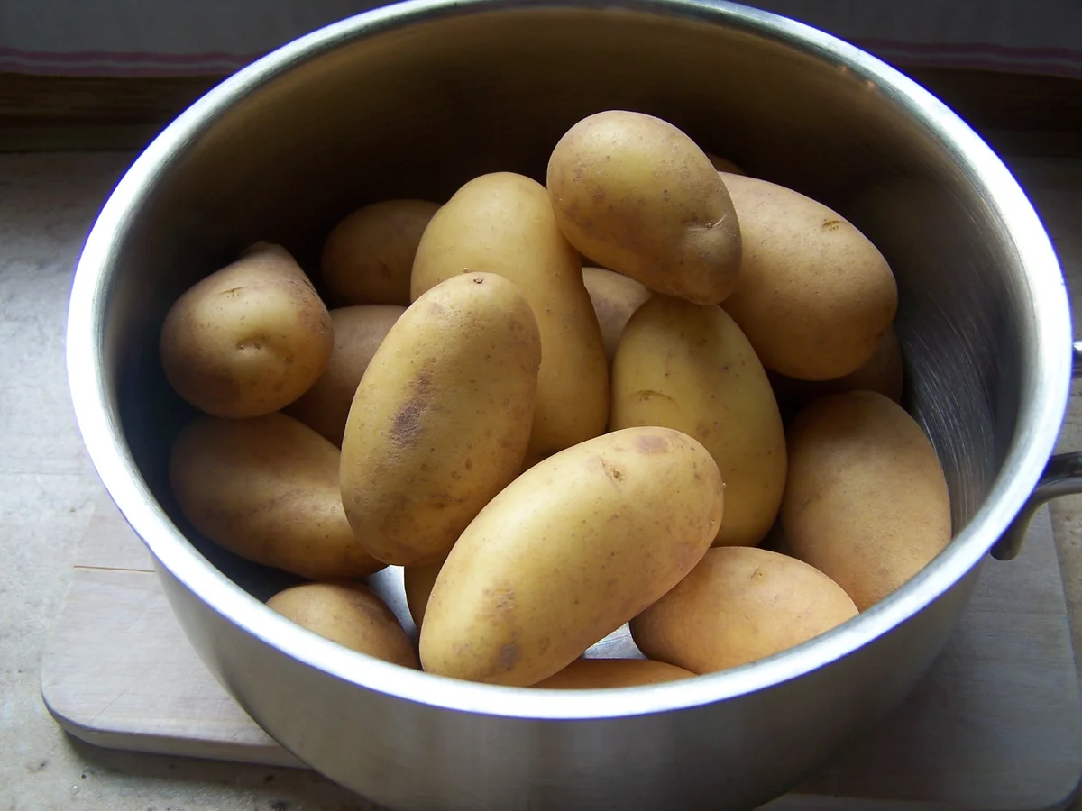 Rezept: Hackfleischpflanzerl mit Drilling Kartöffelchen Bild Nr. 8151 Hackfleischpflanzerl mit Drilling Kartöffelchen - Rezept - Bild Nr. 8151