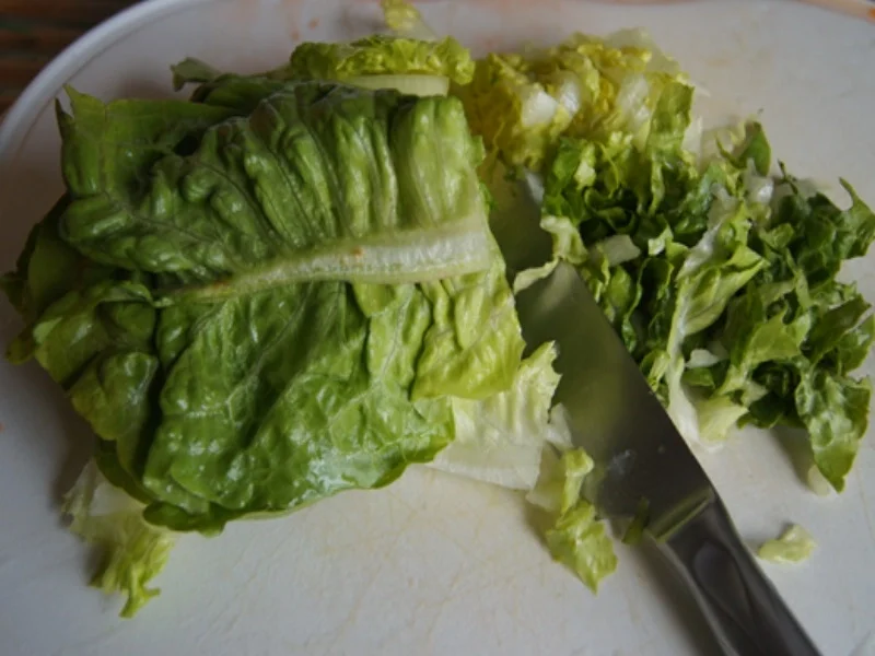 Rezept: Gemischter Salat mit Jogurt Dressing Bild Nr. 8165 Gemischter Salat mit Jogurt Dressing - Rezept - Bild Nr. 8165