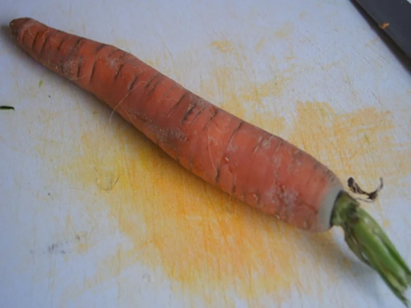 Rezept: Gemischter Salat mit Jogurt Dressing Bild Nr. 8166 Gemischter Salat mit Jogurt Dressing - Rezept - Bild Nr. 8166