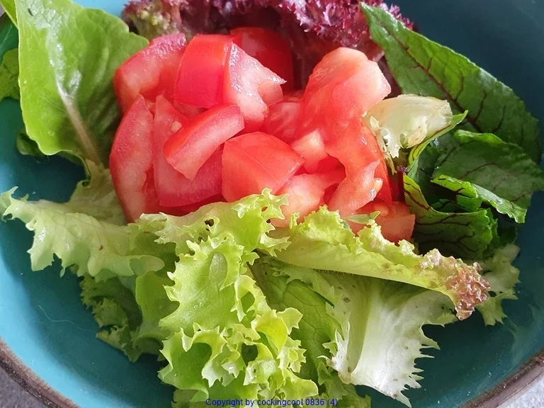 Erste Ernte "Sommersalat" - Rezept - Bild Nr. 8164