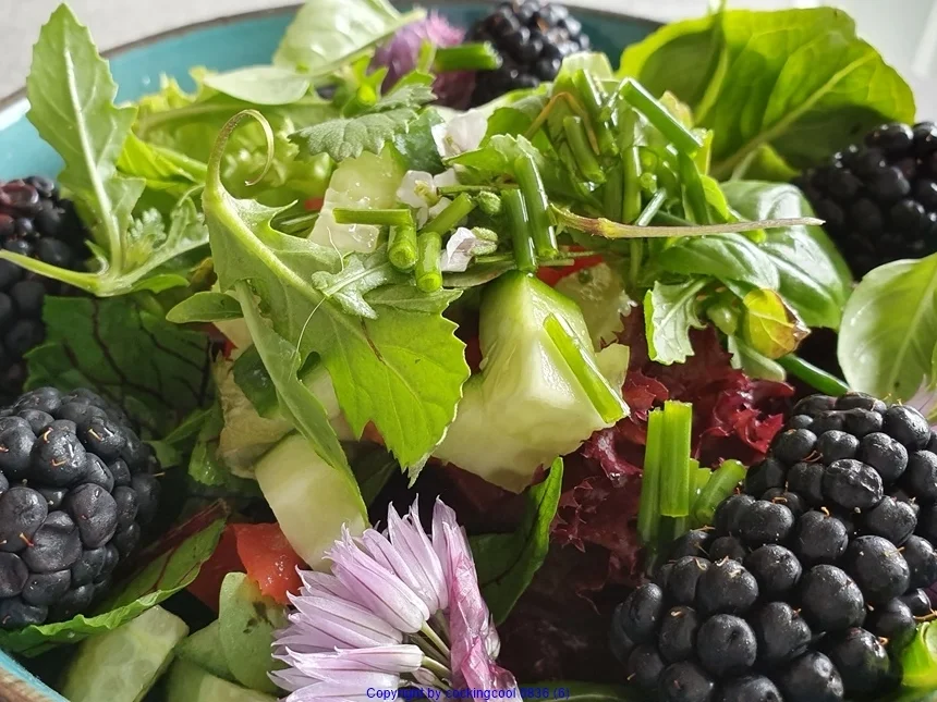 Erste Ernte "Sommersalat" - Rezept - Bild Nr. 8167