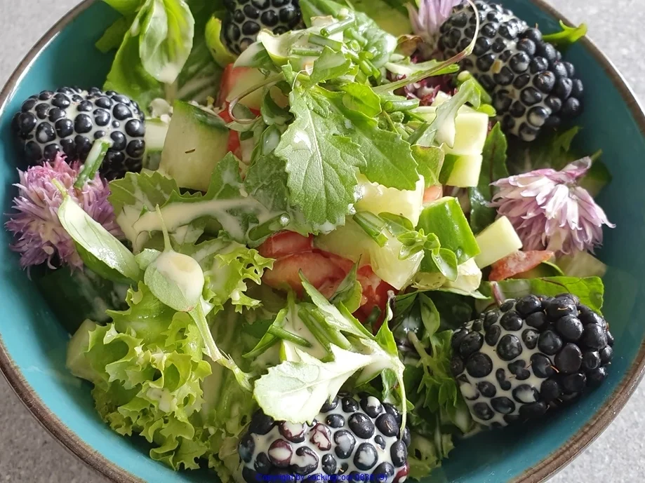 Erste Ernte "Sommersalat" - Rezept - Bild Nr. 8172