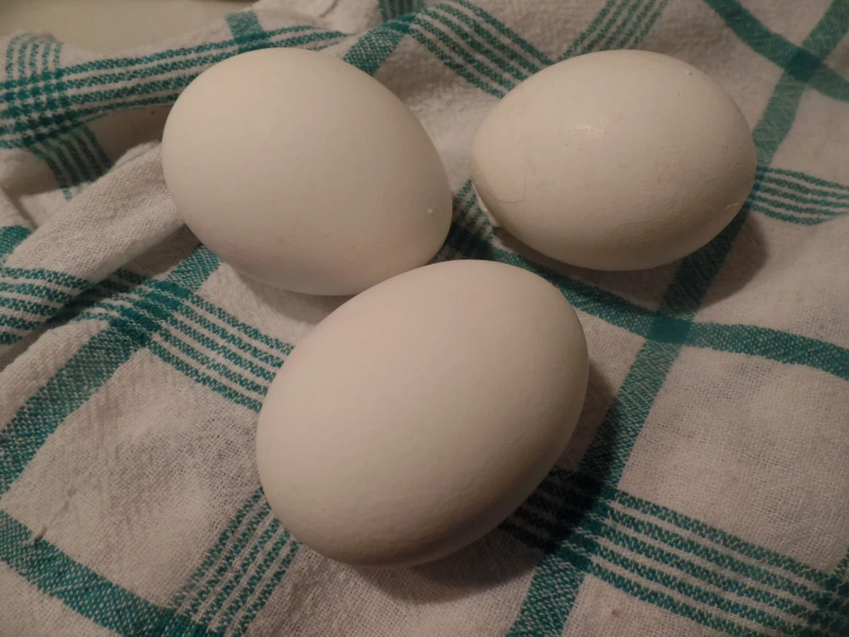 Rezept: Polenta-Bowl mi Gemüse und Ei Bild Nr. 8173 Polenta-Bowl mi Gemüse und Ei - Rezept - Bild Nr. 8173