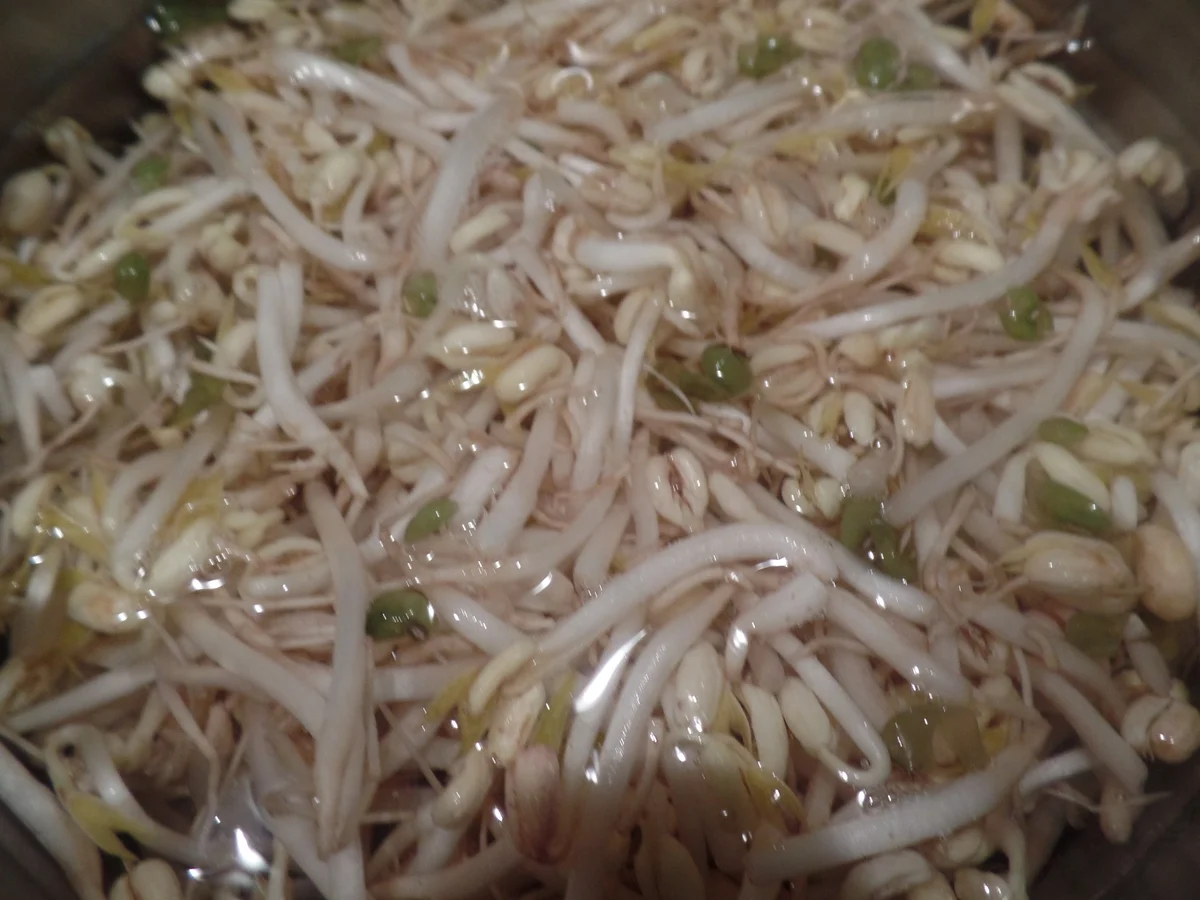 Pho Bo -Hanoi-Nudelsuppe - Rezept - Bild Nr. 8182