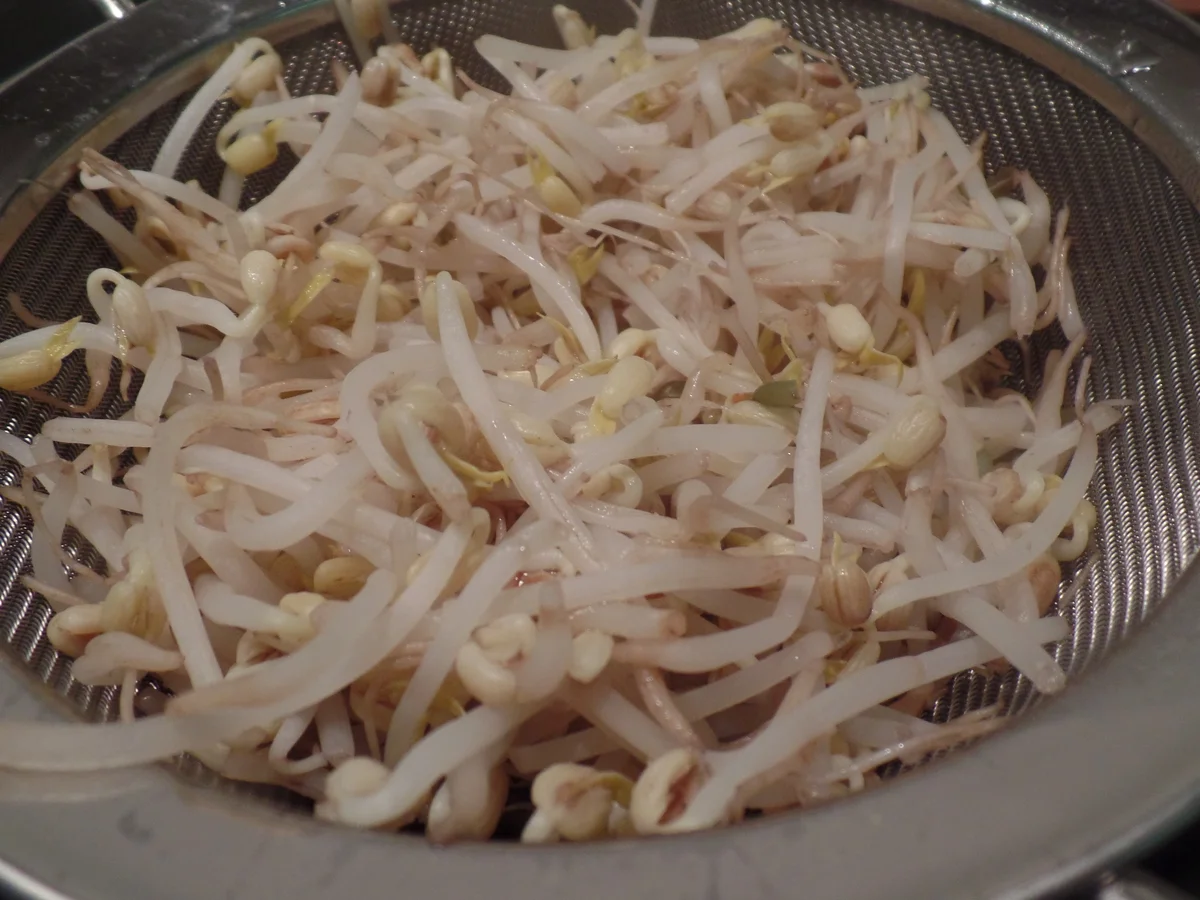 Pho Bo -Hanoi-Nudelsuppe - Rezept - Bild Nr. 8183