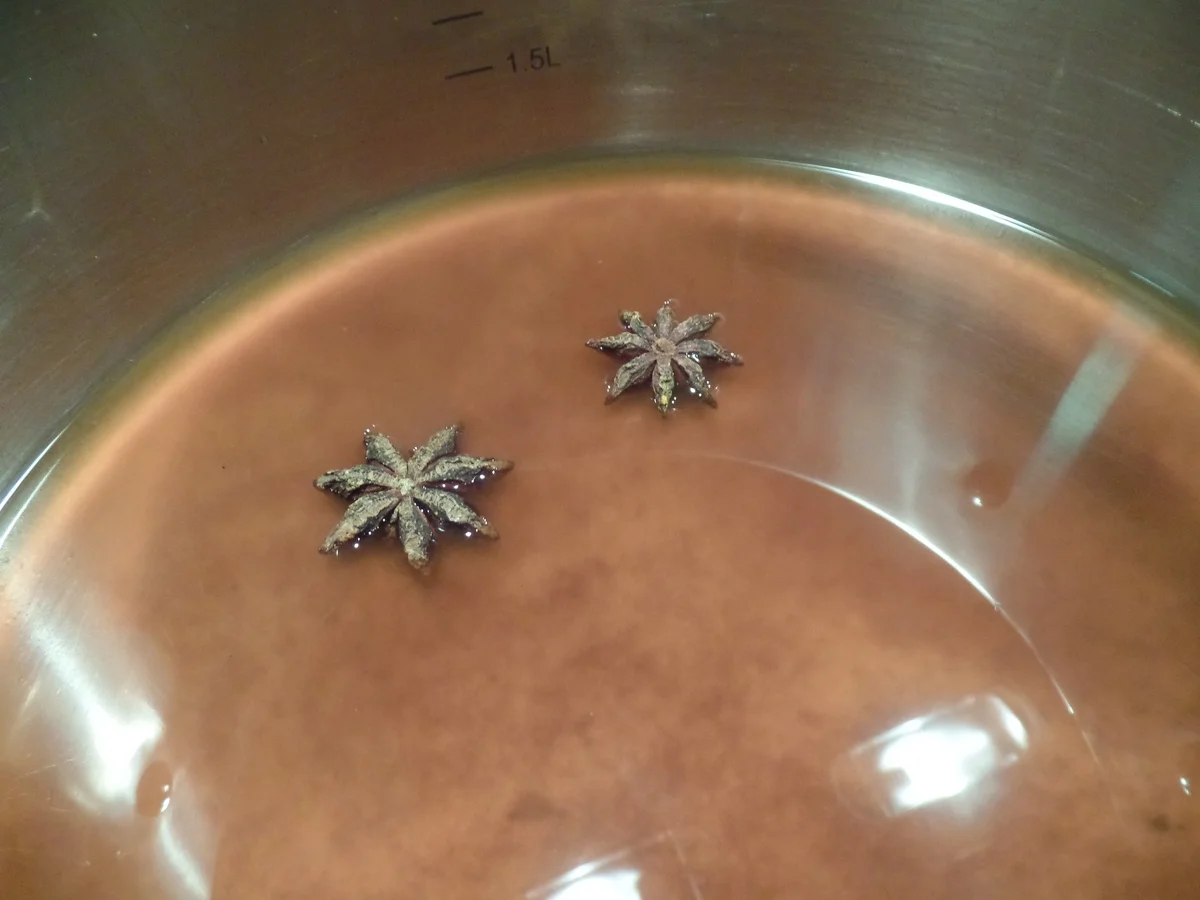 Pho Bo -Hanoi-Nudelsuppe - Rezept - Bild Nr. 8185