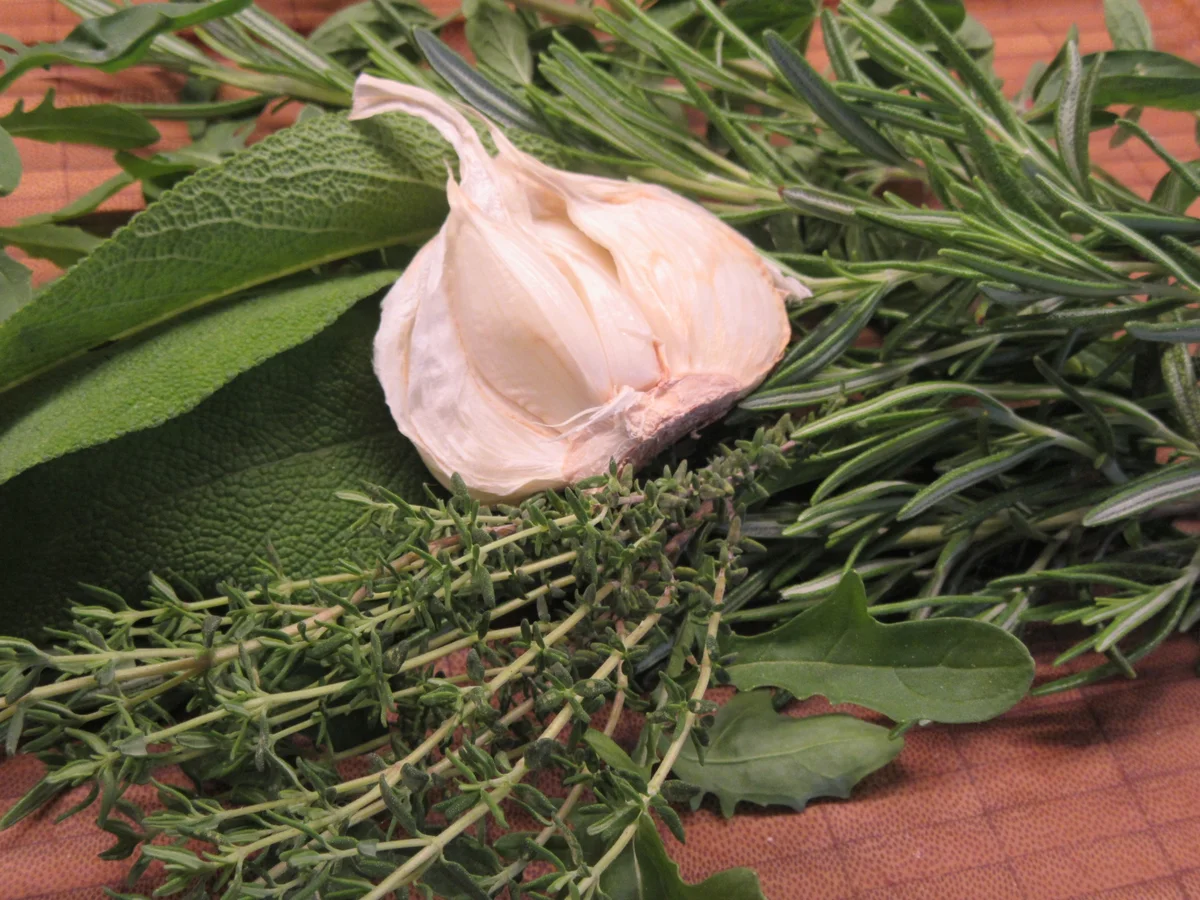 Fleisch: Kräuterlende - Rezept - Bild Nr. 8179