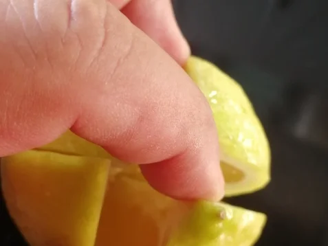 Rezept: Salz Zitrone Bild Nr. 8179 Salz Zitrone - Rezept - Bild Nr. 8179