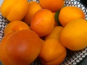 Marillen-Strudel - Vegan - Rezept - Bild Nr. 8187