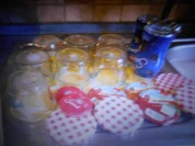 Erbeere- Rhabarber - Marmelade - Rezept - Bild Nr. 8191