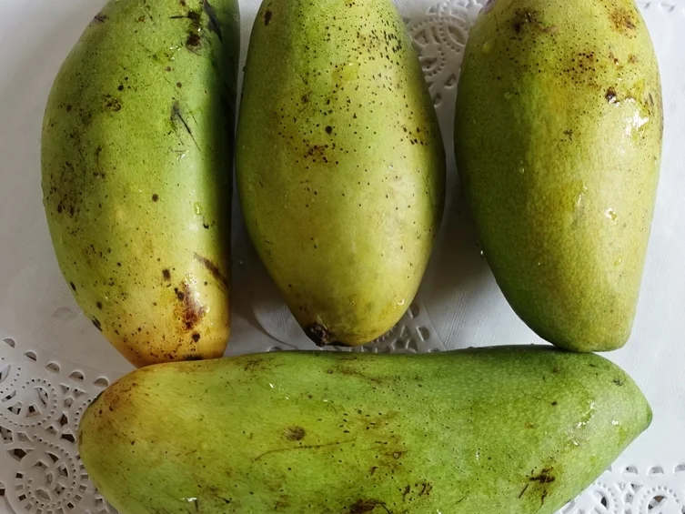 Pilze mit Bandnudeln ala Dewi Desi - Rezept - Bild Nr. 8203