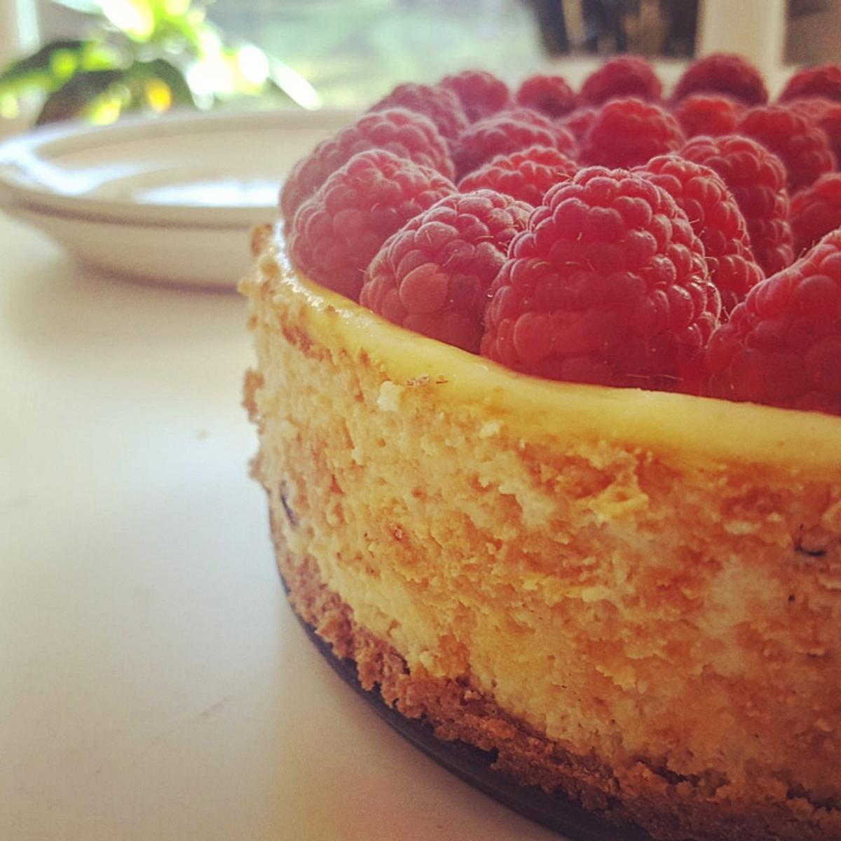 Cremig-fruchtiger NY Cheesecake - Rezept - Bild Nr. 8203