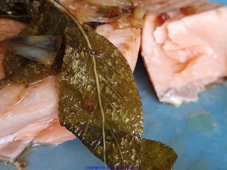 Lachsfilet mit gebratenen Salbei Blättern - Rezept - Bild Nr. 8