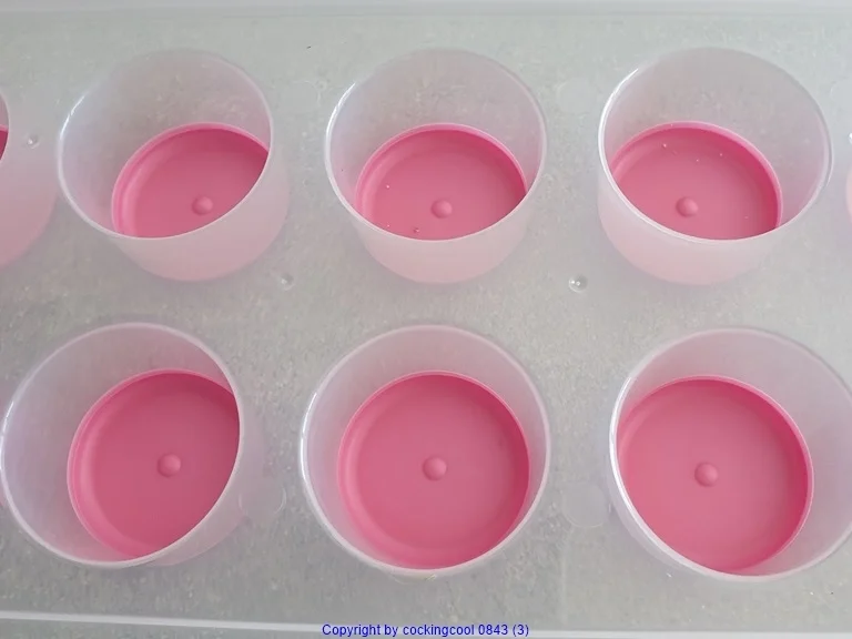 Rezept: EIS Praline mit Gebäck im Kern Bild Nr. 8204 EIS Praline mit Gebäck im Kern - Rezept - Bild Nr. 8204