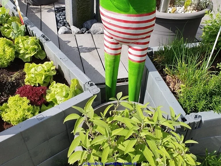 Kräuteroel - Rezept - Bild Nr. 6