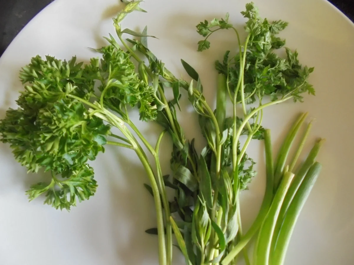 Fines Herbes - Feine Kräuter - Rezept - Bild Nr. 8244