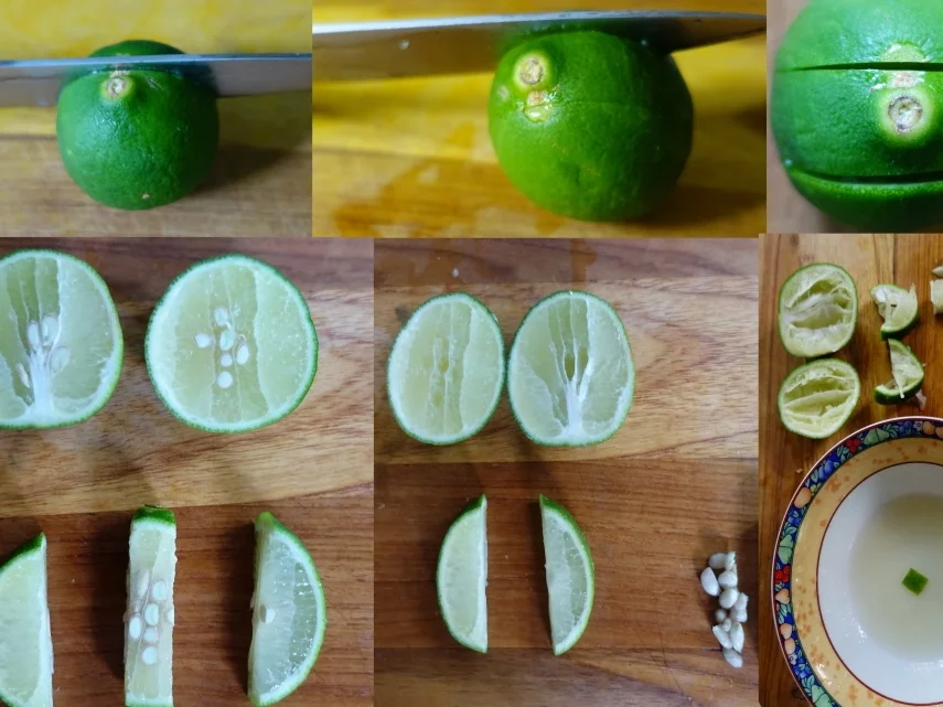 Papaya Lassi - Rezept - Bild Nr. 8249