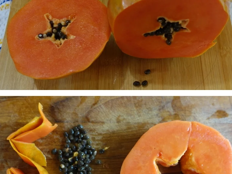 Papaya Lassi - Rezept - Bild Nr. 8250