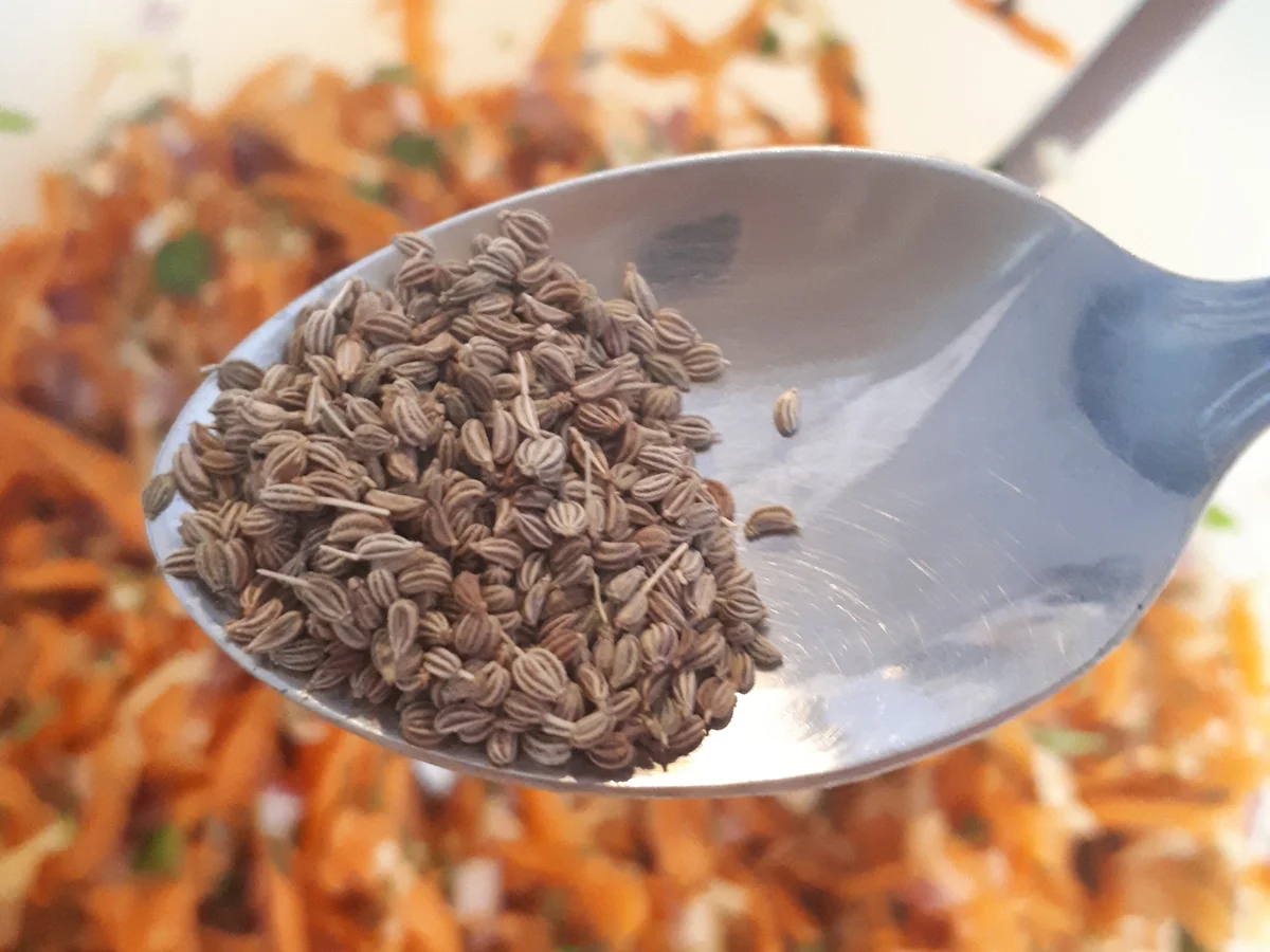 Rezept: indisch: Gajar Paratha - Karotten-Fladen Bild Nr. 8257 indisch: Gajar Paratha - Karotten-Fladen - Rezept - Bild Nr. 8257