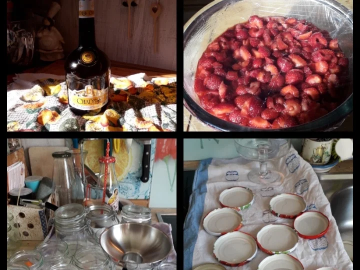 Erdbeer Konfitüre - Rezept - Bild Nr. 8254