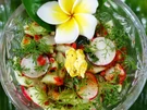 Bunter Gurkensalat Kuta Beach - Rezept - Bild Nr. 8253