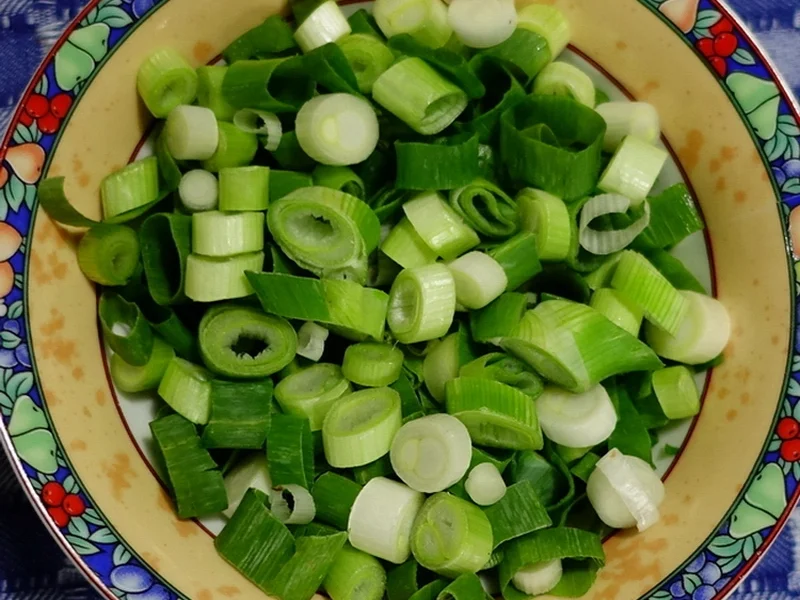 Exotisch-würzige Gemüsepuffer mit Kokosnuss – Martabak ala Ampenan - Rezept - Bild Nr. 8262