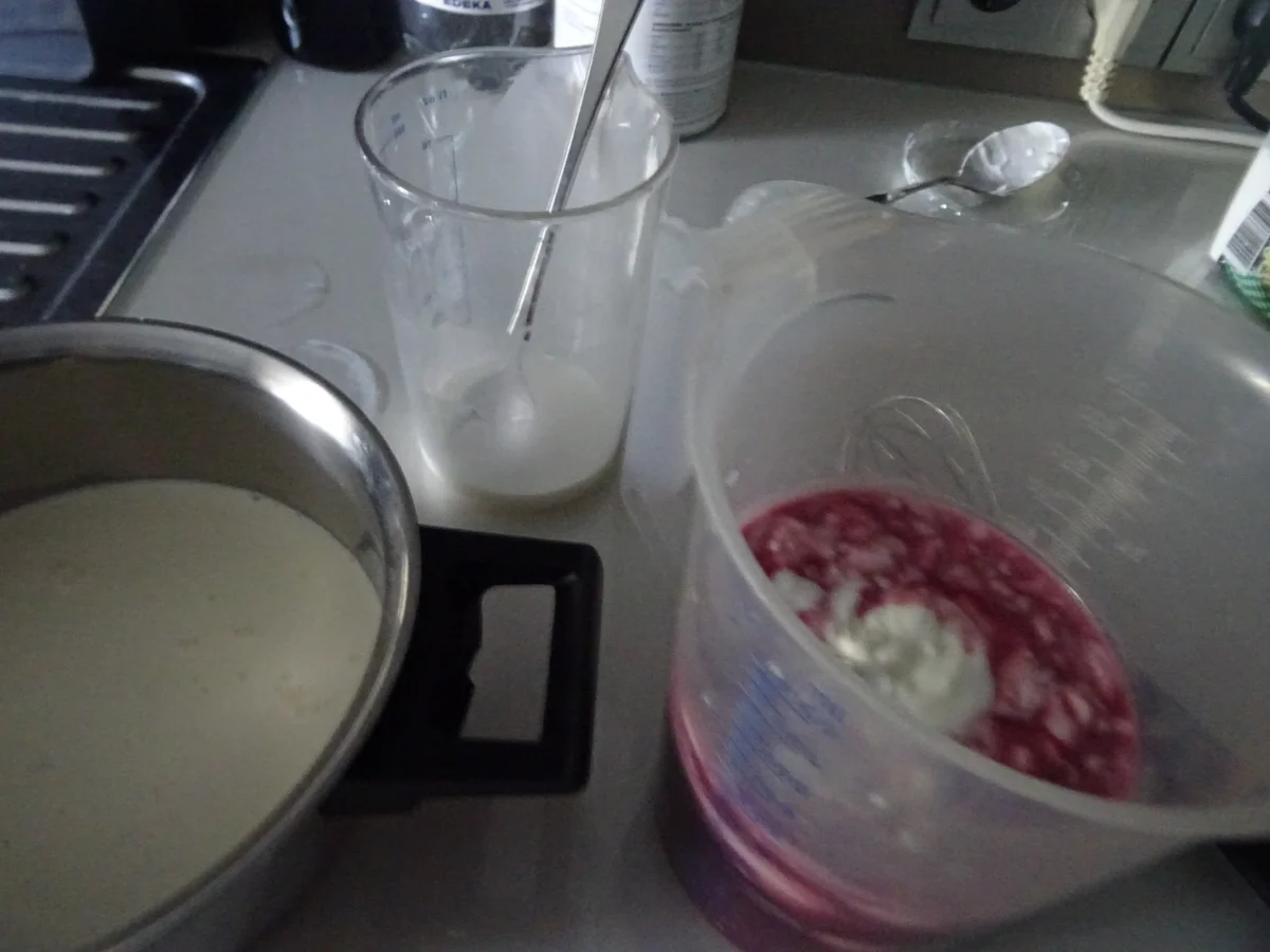 Kirsch-Joghurt-Eis - Rezept - Bild Nr. 8287