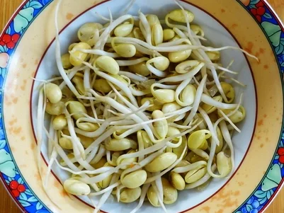 Exotisch-würzige Gemüsepuffer mit Erdnüssen – Martabak ala Ampenan - Rezept - Bild Nr. 8269