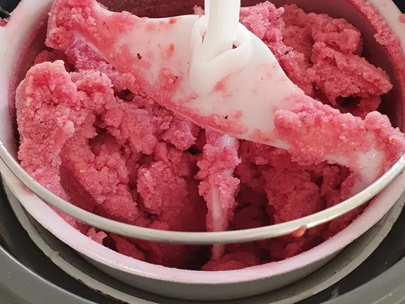 Rezept: Granatapfel Sorbet Bild Nr. 8262 Granatapfel Sorbet - Rezept - Bild Nr. 8262