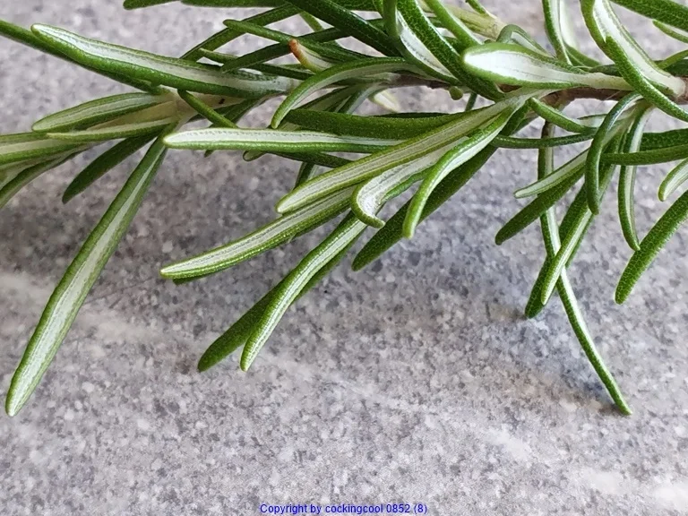 Rezept: Gemüseplatte mit Kartoffelperlen (auch kalt zu Essen) Bild Nr. 8264 Gemüseplatte mit Kartoffelperlen (auch kalt zu Essen) - Rezept - Bild Nr. 8264