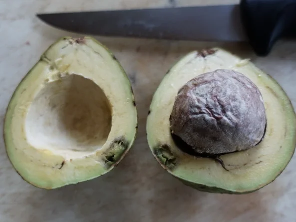 Makkaroni mit Pilzen in Avocadosauce - Rezept - Bild Nr. 8267