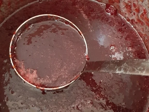 Biggi`s Spezial = Kirschmarmelade - Rezept - Bild Nr. 8291