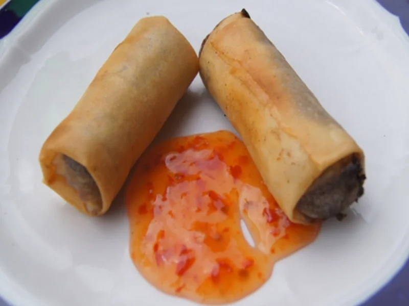 Rezept: Waldpilz-Frühlingsrollen Bild Nr. 8288 Waldpilz-Frühlingsrollen - Rezept - Bild Nr. 8288