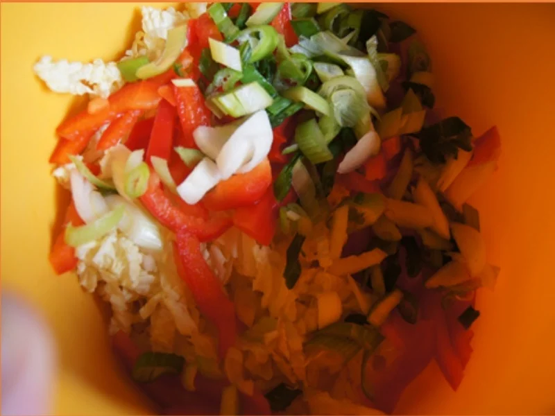 Rezept: Herzhafte Bratkartoffeln mit gemischten Salat Bild Nr. 8298 Herzhafte Bratkartoffeln mit gemischten Salat - Rezept - Bild Nr. 8298