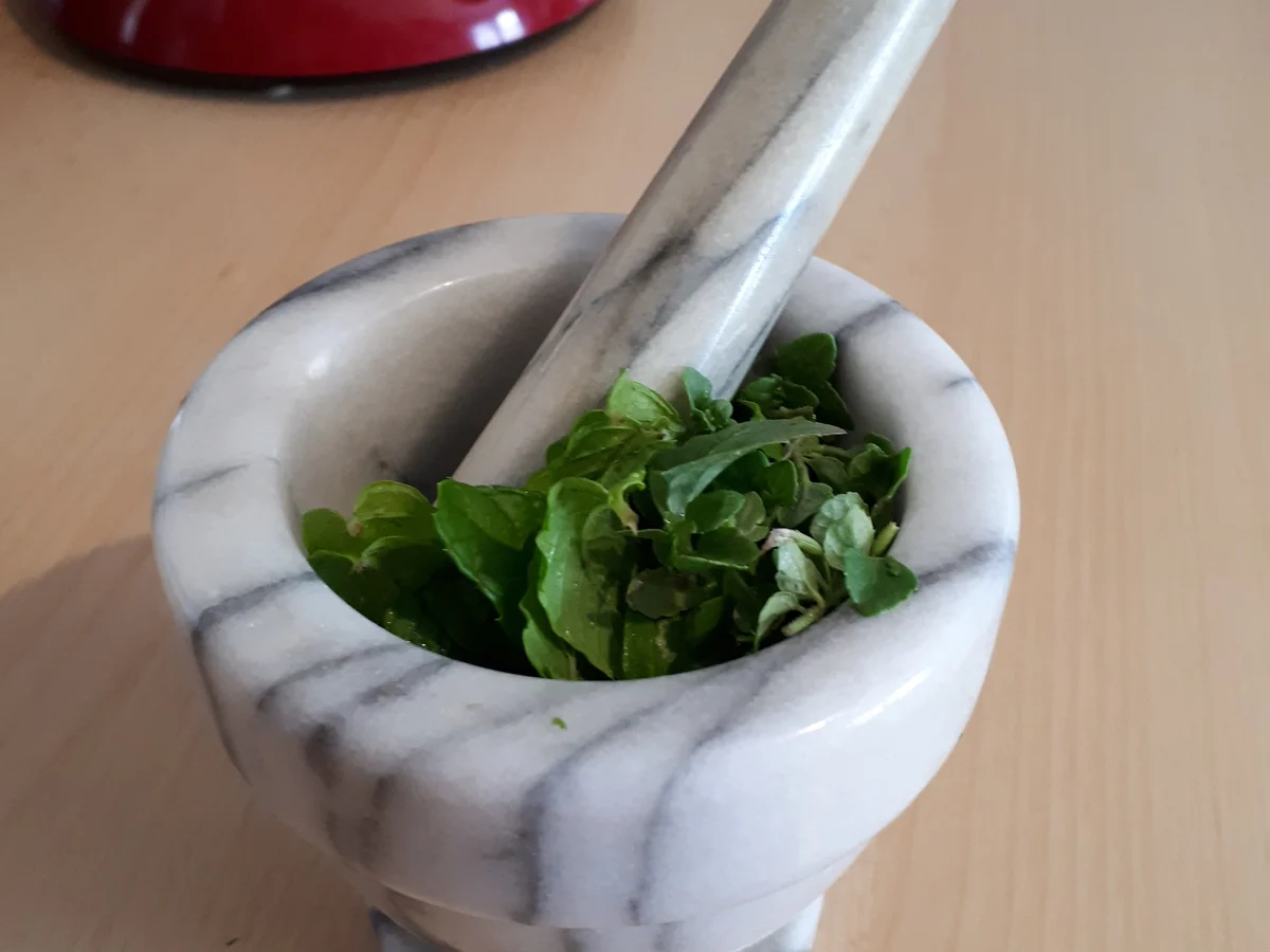 Rezept: Karibische Obsttorte - VEGAN Bild Nr. 8307 Karibische Obsttorte - VEGAN - Rezept - Bild Nr. 8307