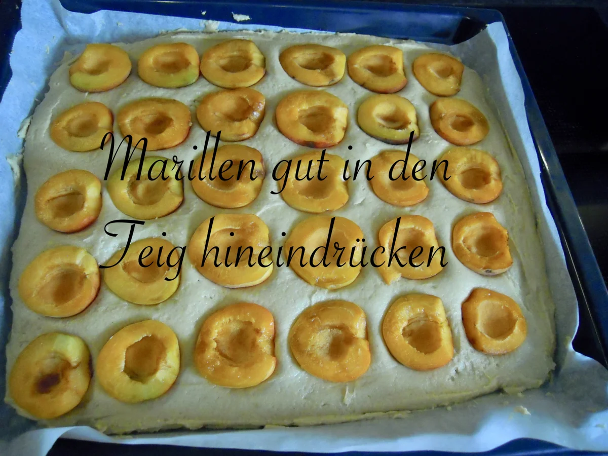 Marillen Streusel Kuchen - Rezept - Bild Nr. 8310