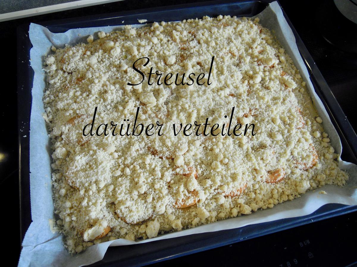 Marillen Streusel Kuchen - Rezept - Bild Nr. 8312