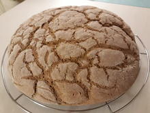 Landbrot mit Sauerteig - Rezept - Bild Nr. 8334