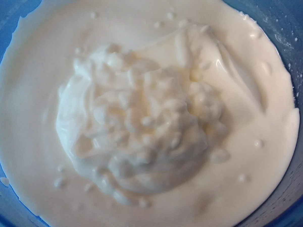 Aioli & Rote Beete trifft Ziege - Rezept - Bild Nr. 8365