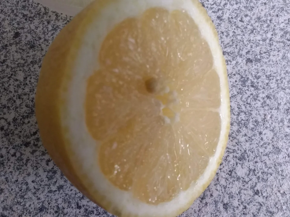 Aioli & Rote Beete trifft Ziege - Rezept - Bild Nr. 8369