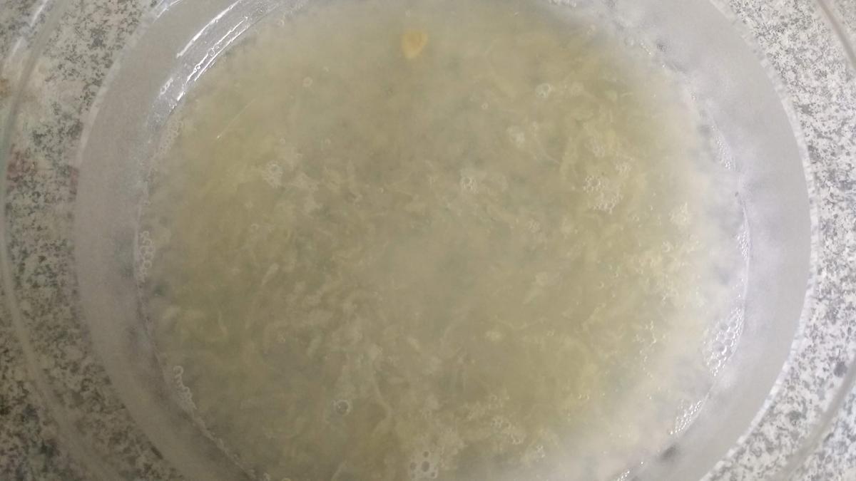 Aioli & Rote Beete trifft Ziege - Rezept - Bild Nr. 8346