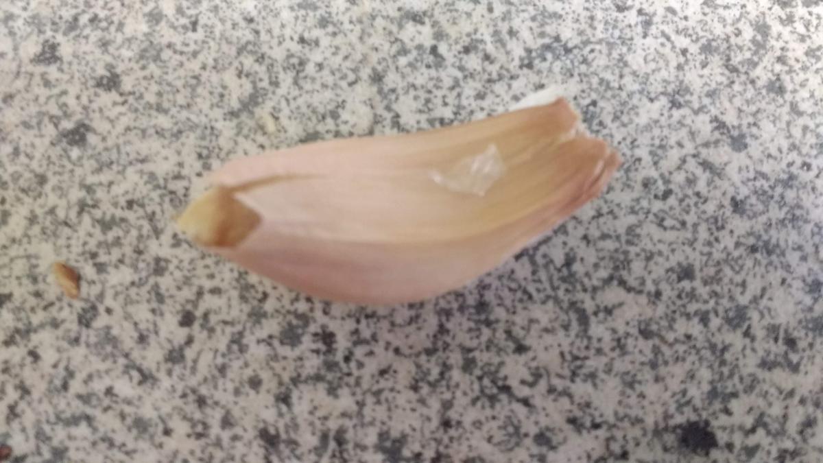 Aioli & Rote Beete trifft Ziege - Rezept - Bild Nr. 8346