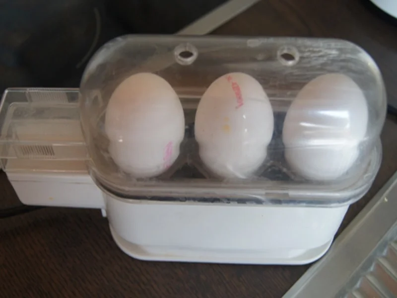 Eier mit Curry-Sauce und Curry-Kartoffeln - Rezept - Bild Nr. 4